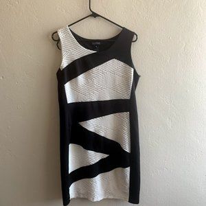 Black and White Enfocus Petite Dress Size 12P